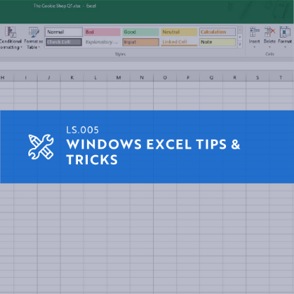 Picture of LS.005 Windows Excel Tips and Tricks
