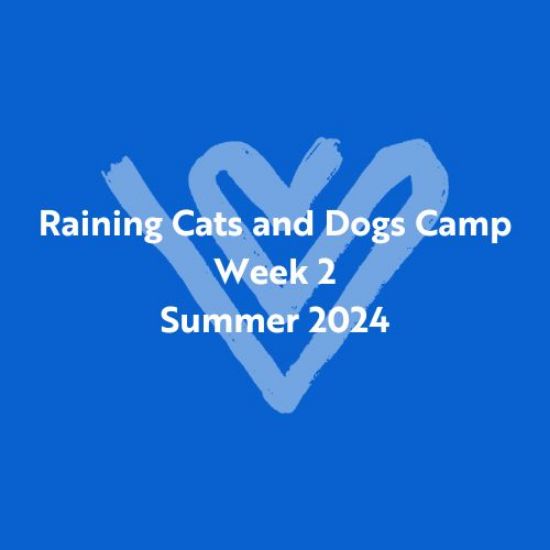 Picture of Raining Cats and Dogs Summer Camp