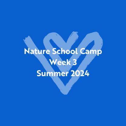 Picture of Nature School Summer Camp