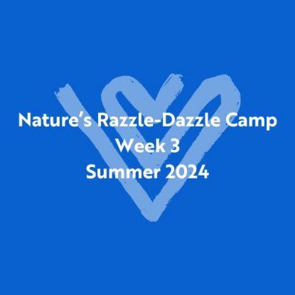 Picture of Nature's Razzle-Dazzle Summer Camp