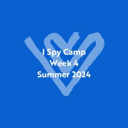 Picture of I Spy Summer Camp 