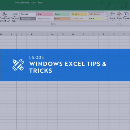 Picture of LS.008 Windows Excel Tips and Tricks - F24