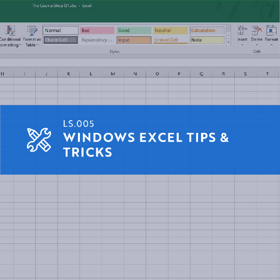 Picture of LS.008 Windows Excel Tips and Tricks - F24